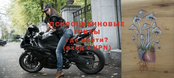 стаф Балабаново