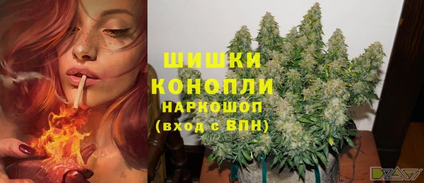 таблы Белокуриха