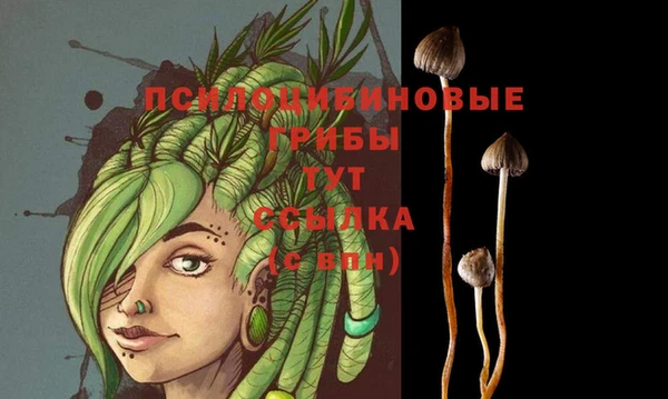 таблы Беломорск