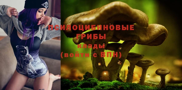 таблы Белокуриха