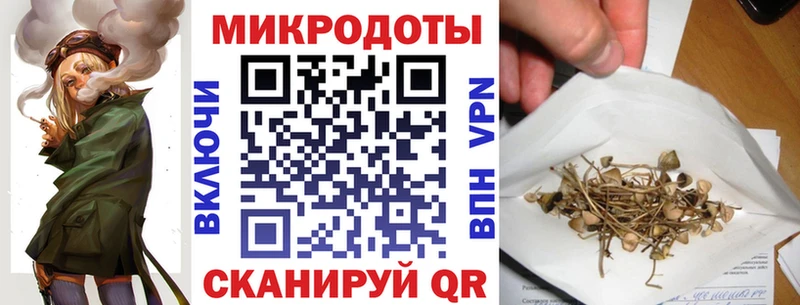 что такое наркотик Теберда Псилоцибиновые грибы прущие грибы
